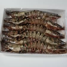 TIGER JUMBO PRAWNS 1KG